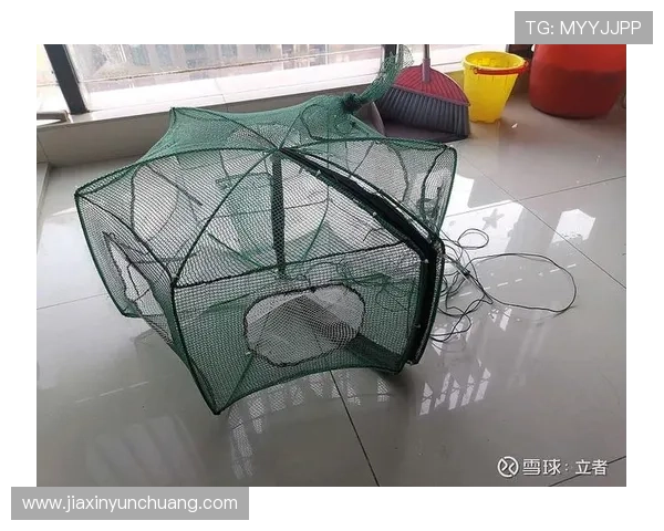 解析PA捕鱼网投盈利模式,助你提升捕鱼技巧实现更多收益 解析PA捕鱼网投盈利模式,助你提升捕鱼技巧实现更多收益