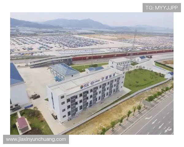 k8凯发天生赢家网站：平台用户体验优化与客户服务支持分析